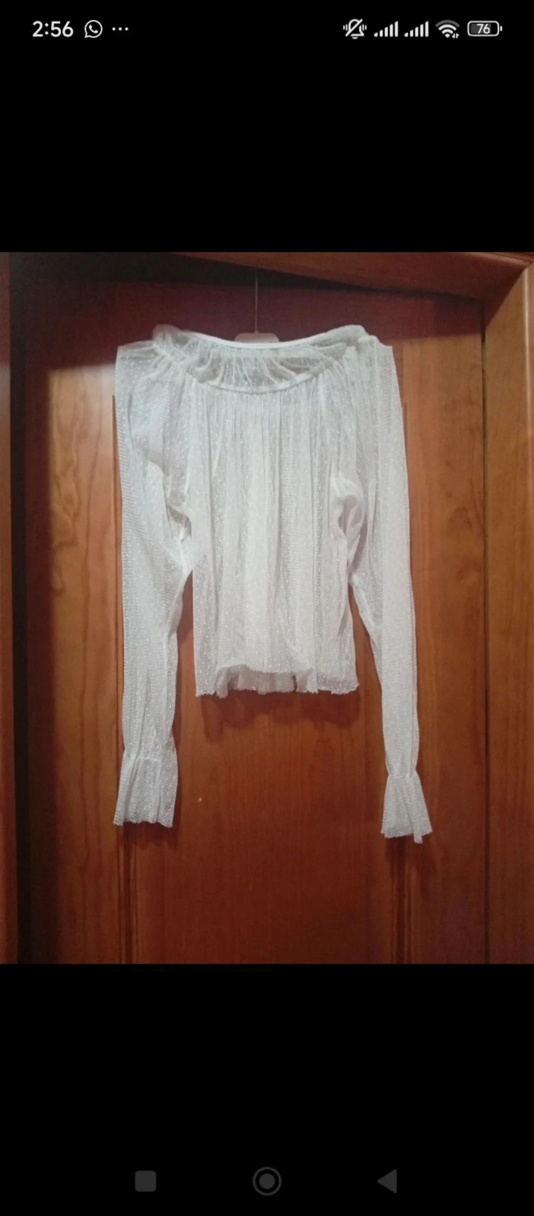 Blusa transparente